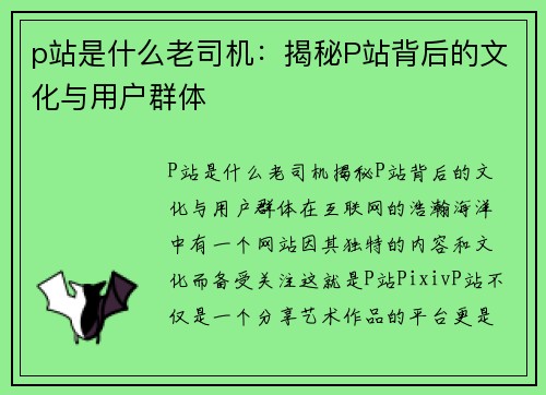 p站是什么老司机：揭秘P站背后的文化与用户群体