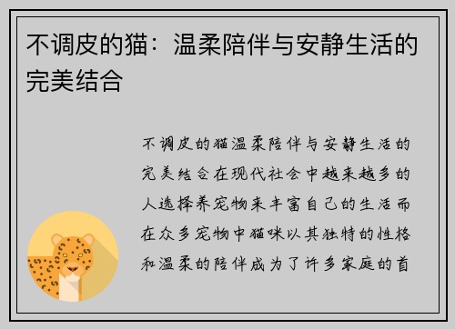 不调皮的猫：温柔陪伴与安静生活的完美结合